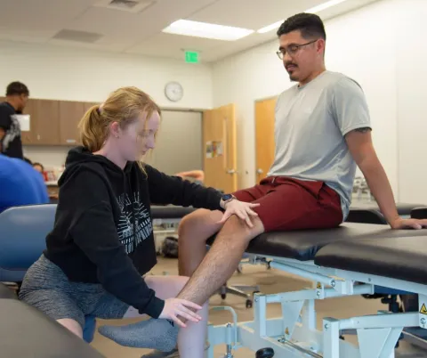 Doctorate of Physical Students during their lab immersions. 