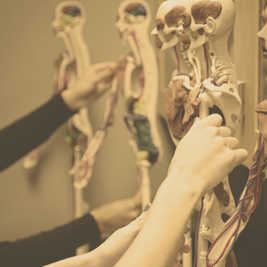 Aging well can sometimes mean “Mind over matter